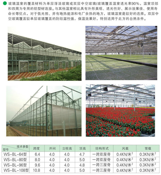 科技赋能新农村 鑫钰温室工程引领绿色农业新篇章