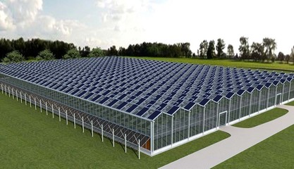 现代化温室类型解析与应用前景探讨