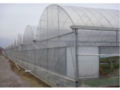 山东智能温室承建领航者 青州金鑫，匠心铸就现代农业新高地
