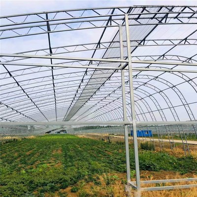 大棚管厂一站式服务赋能智能温室 从材料到智慧的全链解决方案